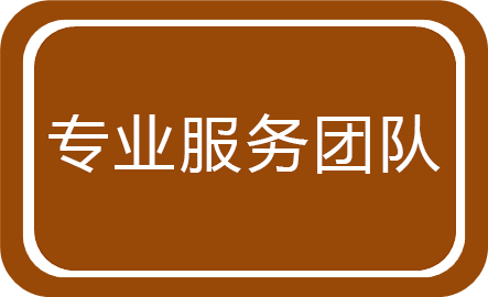 專業(yè)服務(wù)團(tuán)隊(duì)